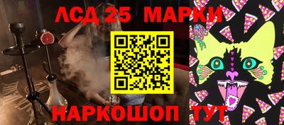 спиды Заводоуковск