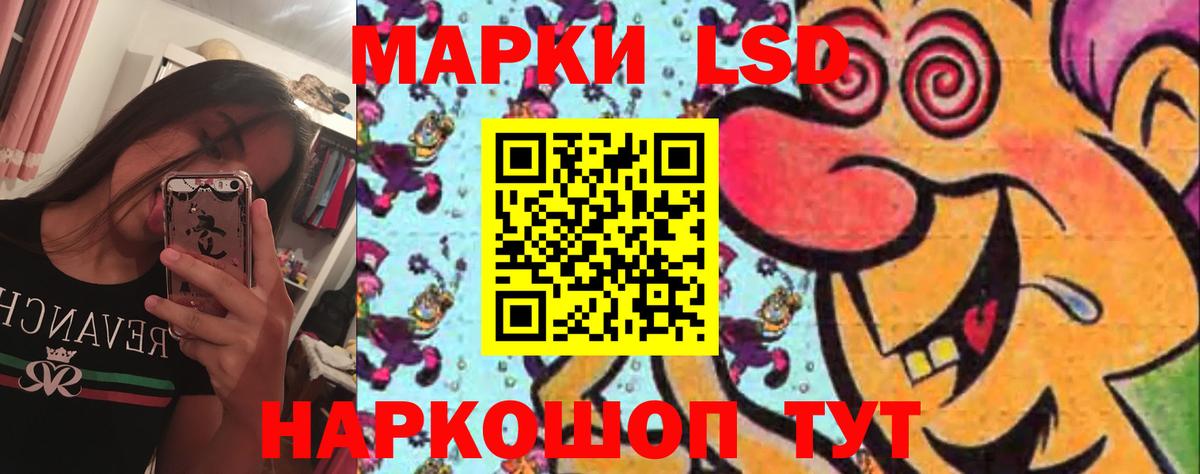 Михайловка  ЛСД экстази  ЛСД экстази кислота  Вход с VPN  LSD-25 экстази кислота 