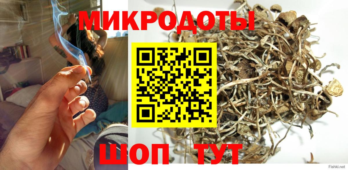 Михайловка  Псилоцибиновые грибы Cubensis  Вход с VPN 